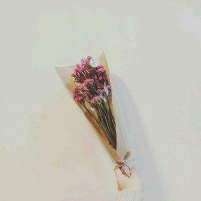 最后的英雄测试版